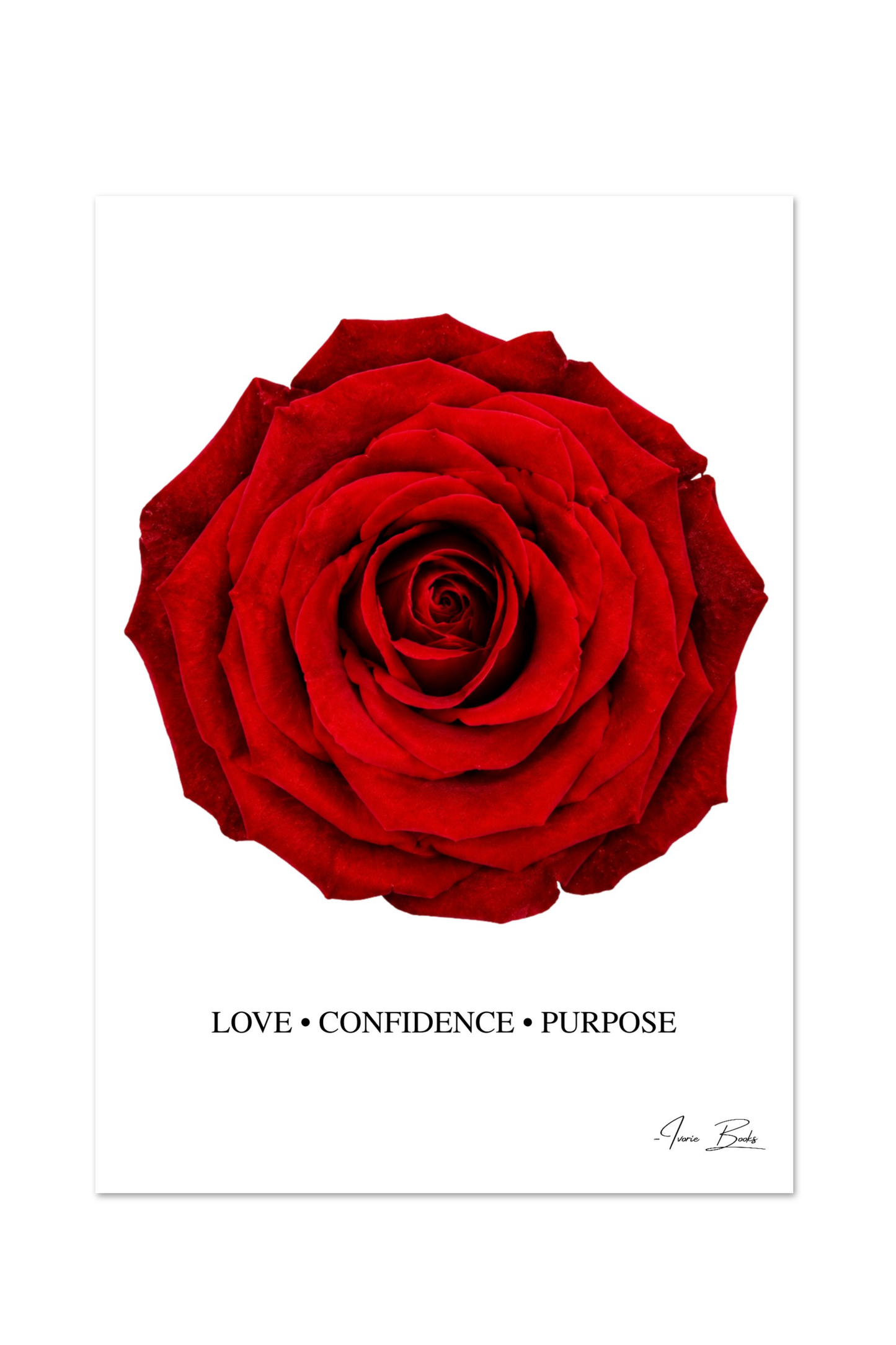 Complete Signature Rose Collection | An 8 Product Gift Set