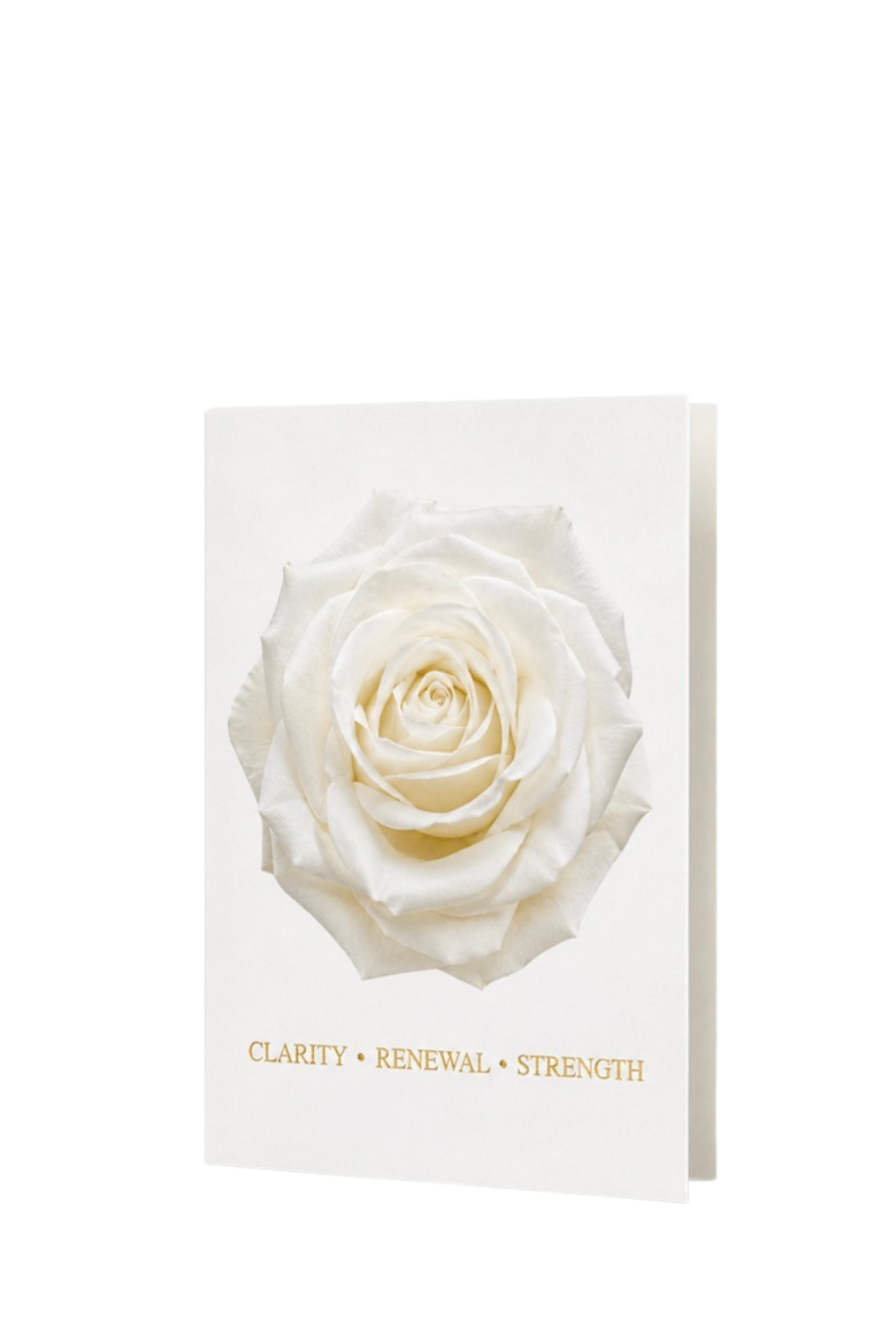 Complete Signature Rose Collection | An 8 Product Gift Set