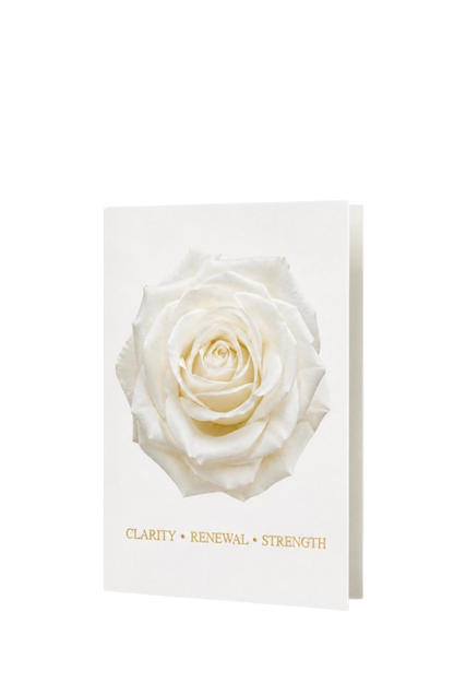 Clarity, Renewal & Strength | A White Rose 3-Piece Gift Set
